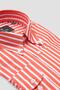 Matteo Twill Cotton Comfort Fit Salmon Button down Collar Men's Striped Shirt