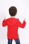 Red Boy's Relax Fit Hooded Pocket Embroidery Printed Sweatshirt - 2 Thread - 5