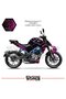 Cfmoto 250Nk Sticker Fairing Pink Engine Fairing Model Ready Kit 2023 / 2025 Compatible - 2