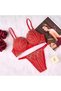 Bra Panties Set Underwear Lace Embroidery 2 Piece Lingerie Set Lace Bra Transparent Wom MS-18016 - 3