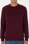 Men's Regular Sweatshirt G081Sz082 - 7