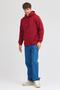 Men's Burgundy Standard Fit Regular Cut Fleece Lined 3 Thread Hooded Cotton Sweatshirt - 5
