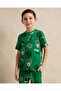 Boys Green Boston Celtics Printed T-Shirt