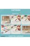 Capybara 0.5 Tip Luxury Pen with Nib Box, Packaged as a Cute Pre-School Gift, 1 Piece - 3