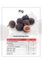 Freeze Dried Fruit 10 Pack Fig - 4