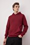 Burgundy Regular/Normal Cut Hooded Textured Sweatshirt Tmnaw26Sw00068