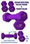 Vinyl Dumbbells Set EM-9219-1 Non-Slip 1KG x2 Hex Shape Weights for Home Gym & Fitness