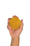 St. John's Wort Soap & Skin Renewal - Revitalizing - 3