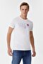 Cedric Men's 100% Cotton Crew Neck T-Shirt Off White - 2