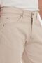 Men's School and Daily Use Canvas Flexible Stone Classic Pants - 4