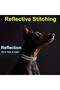 Heavy Duty Dog Collar - Yellow - Large - 4