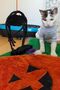 Spider Cat Toy |   Rattling Spider Cat Fishing Rod - 7