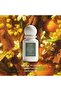 Mediterannean Eau De Parfum Sierra Wood 50Ml - 3