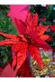Christmas Ornament Artificial Glitter Daisy Poinsettia Red 60 cm Large Size Poinsettia Hpy26082 - 6
