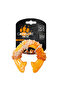 Carnivore Ring Bone S Dog Toy - 5