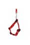 Catogo Cat Harness & Leash Set (Red) - 4