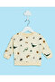 Infant Boys Charcoal And Beige Sweatshirt Set (Pack of 2) - 3