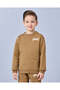 Boys Brown Embroidered Sweatshirt