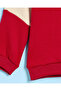 Infant Boys Burgundy Embroidered Sweatshirt - 4