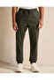 Men Olive Solid Joggers