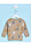 Infant Boys Brown Printed Sweatshirt - 3