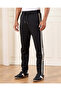 Men Black Embellished Active Pants