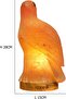 Himalayan Salt Lamp - Eagle - 2