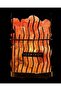 Himalayan Salt Lamp with Iron Bars - 4