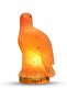 Himalayan Salt Lamp - Eagle