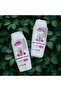 Free Lice Shampoo 200 ml Each | Anti lice shampoo | Comb included | Combo Pack