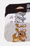 Boys Assorted Socks Set (Pack Of 3) - 2