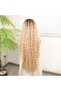 Afro Wave Russian Auburn Honeycomb Ombre Platinum Sparkle Fiber Synthetic Tulle Wig - 5
