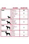 DOG BOOT for dog (SIZE 5) - 2
