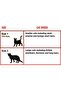CALM CAT MUZZLE SIZE 2 (LARGE CAT) - 3