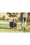 MULTI LEAD WALK RITE DUAL DOG ( 1.9 CM ) - 2