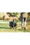 MULTI LEAD WALK RITE DUAL DOG ( 1.9 CM ) - 7