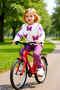 Girls' Top and Bottom 100% Cotton Butterfly Printed Crew Neck Long Sleeve Top and Leggings Set Good Quality - 2