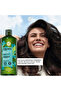 Purifying Shampoo for Oily Hair 300 ml Ocean Algae Detox Effective Sebum Balancing - 3