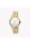 Women's Gold Stainless Steel Watch, Silver Dial | ES1L302M0065
