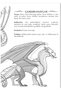 Wings of Fire & Guardians of the Past Adventure Set for Children - 6