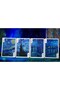 Tcc Van Gogh Standard Edition Premium Playing Cards Collectible Deck of Cards - 4