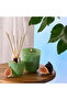 In the Shade of the Fig Tree - Diffuser - 2
