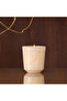 Bois Céleste Candle 180 g - 3