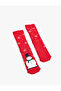 Christmas Themed Cotton Socks - 2