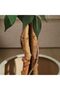 120CM Artificial Ficus Tree: Natural Trunk, Lifelike Leaves. Ramadan decor & housewarming gift. - 4