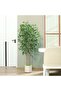 160cm Ficus Artificial Tree – Natural Trunk & Lifelike Leaves. Chic Ramadan home/office decor. - 6