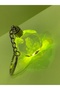 Illuminated Crystal Glass Color Changing Keychain - 4