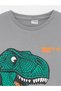 Lcw Kids Gray Crew Neck Printed Long Sleeve Boys T-Shirt - 3