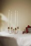 Metal candelabra - 2