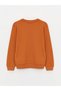 Lcw Kids Brown Crew Neck Long Sleeve Boys T-Shirt - 2